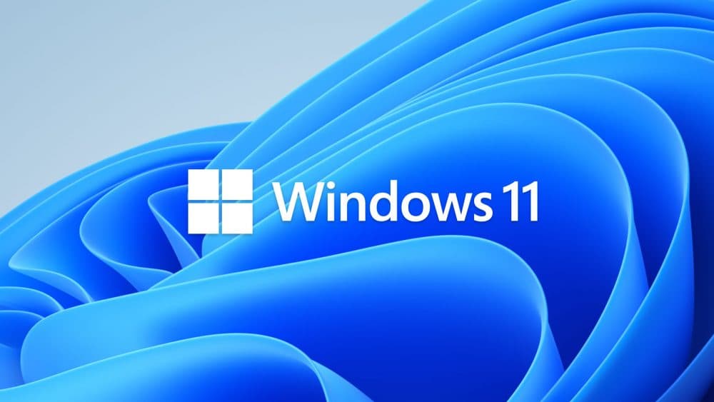 Ошибка в Windows 11: файлы разрастаются до 500 ГБ